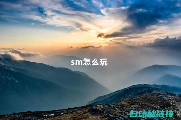 全面剖析Smart200监控程序的自动跟踪和行动过程 (全面剖析SMI工厂5M管理)